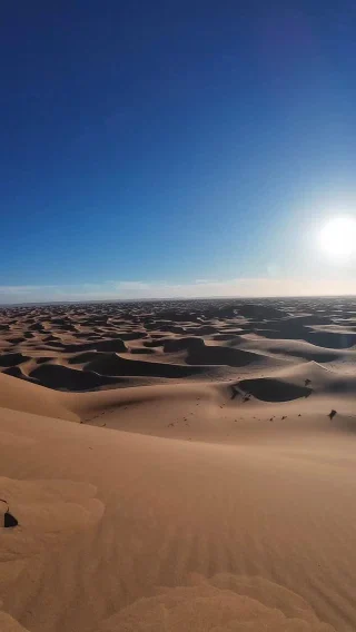 Instagram post from wild_globe_expeditions. This post is in position 1.