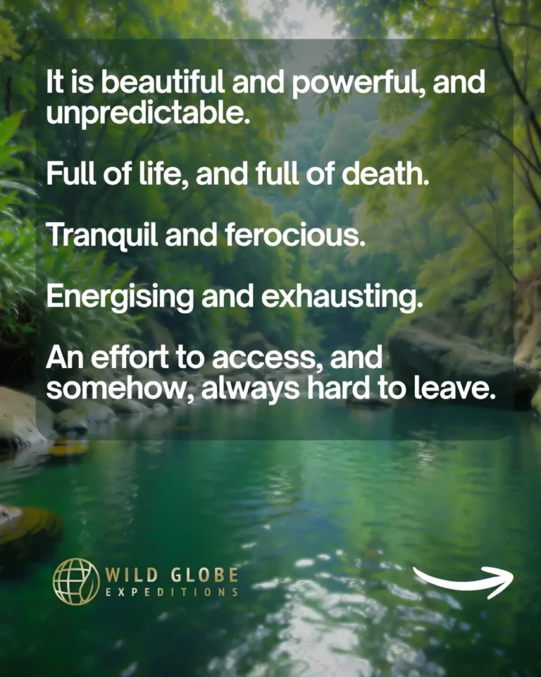 Instagram post from wild_globe_expeditions. This post is in position 3.