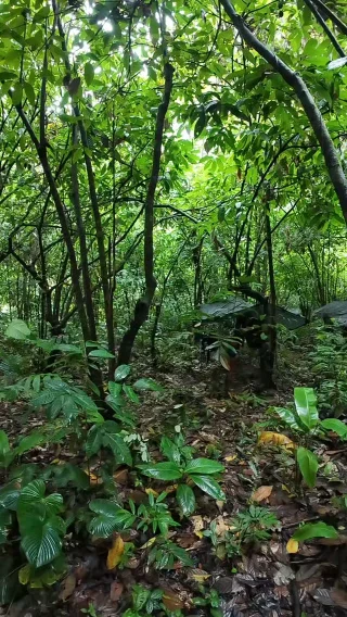 Instagram post from wild_globe_expeditions. This post is in position 17.