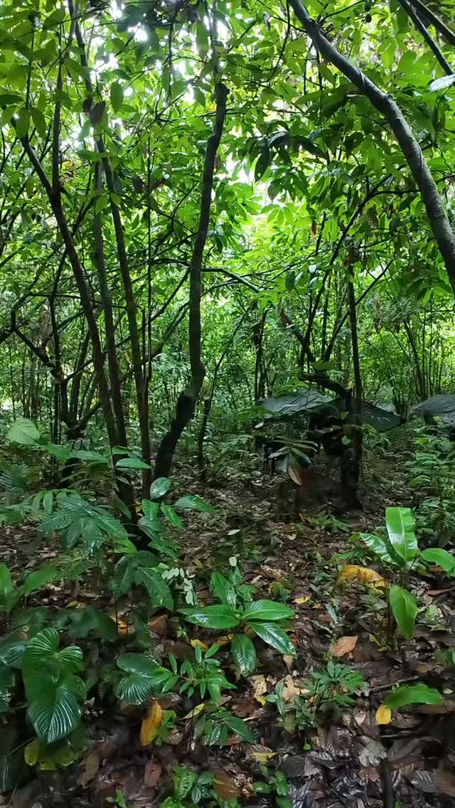 Instagram post from wild_globe_expeditions. This post is in position 16.