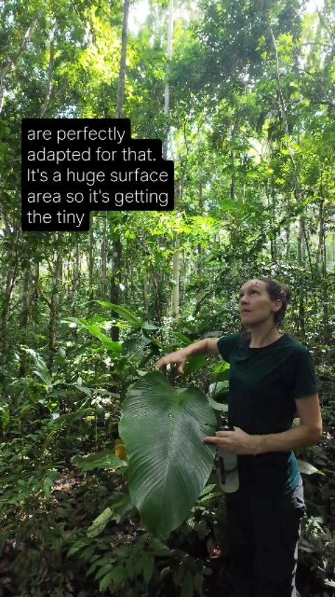 Instagram post from wild_globe_expeditions. This post is in position 8.