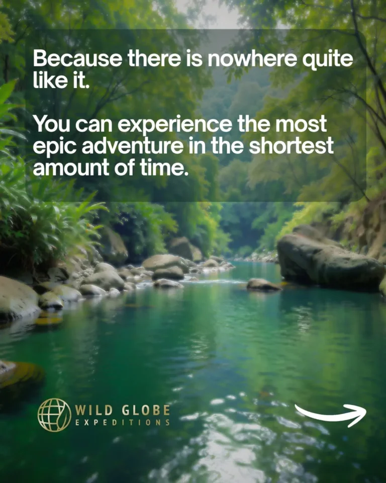 Instagram post from wild_globe_expeditions. This post is in position 2.