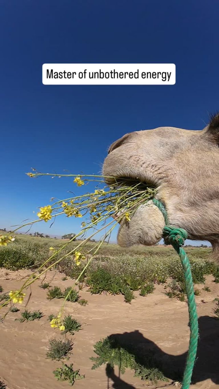 Instagram post from wild_globe_expeditions. This post is in position 20.