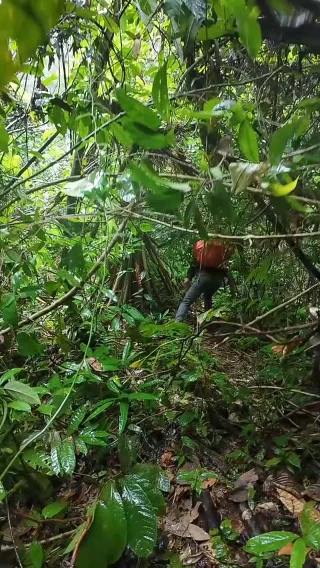 Instagram post from wild_globe_expeditions. This post is in position 2.