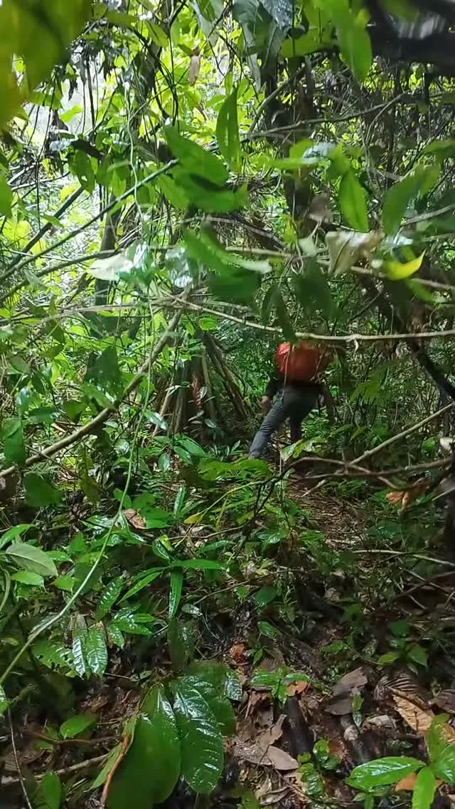 Instagram post from wild_globe_expeditions. This post is in position 1.