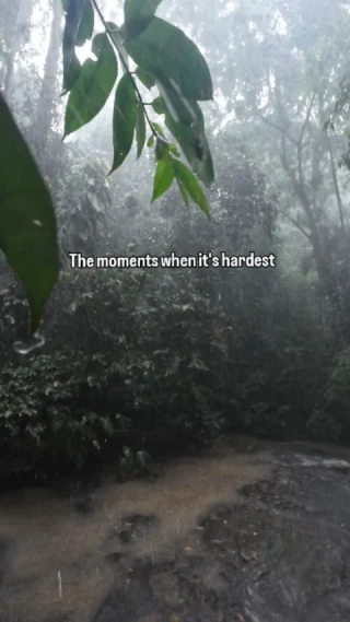 Instagram post from wild_globe_expeditions. This post is in position 1.