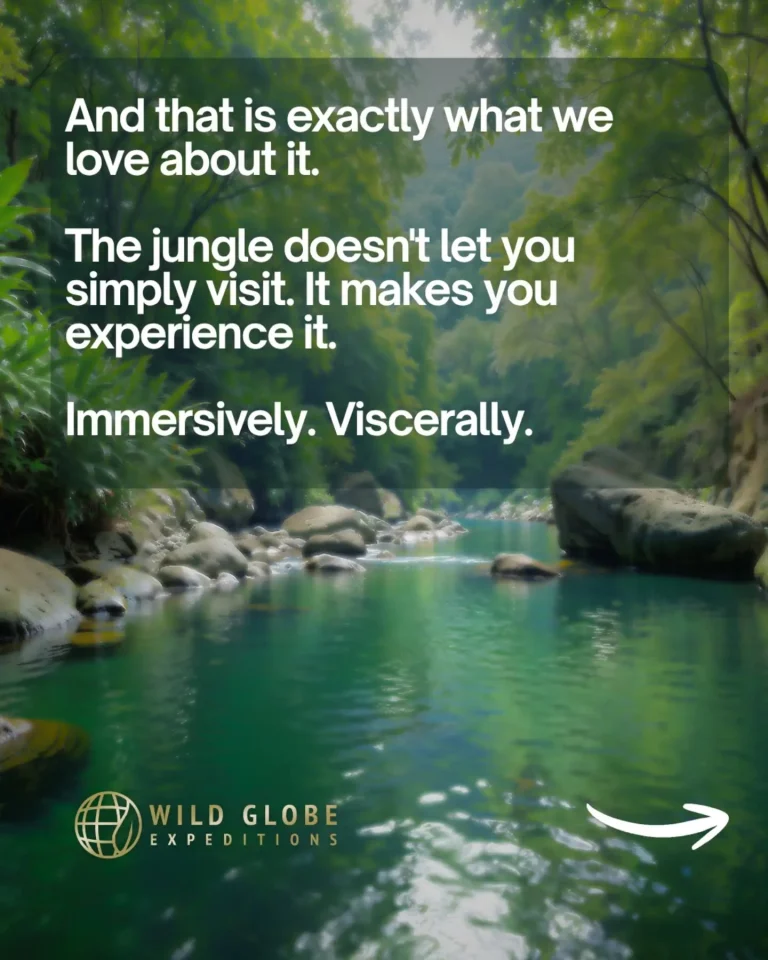 Instagram post from wild_globe_expeditions. This post is in position 5.