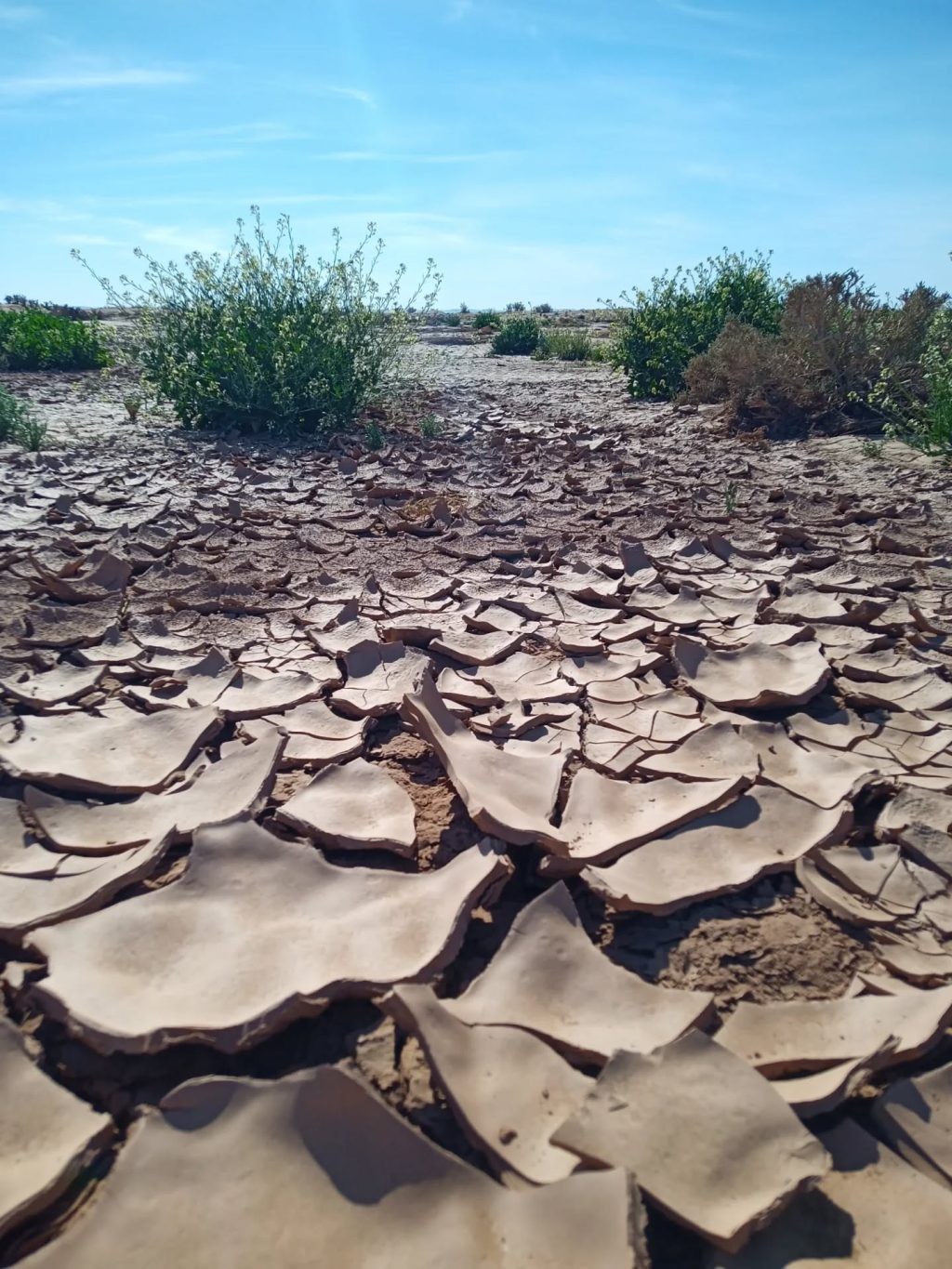 Instagram post from wild_globe_expeditions. This post is in position 0.