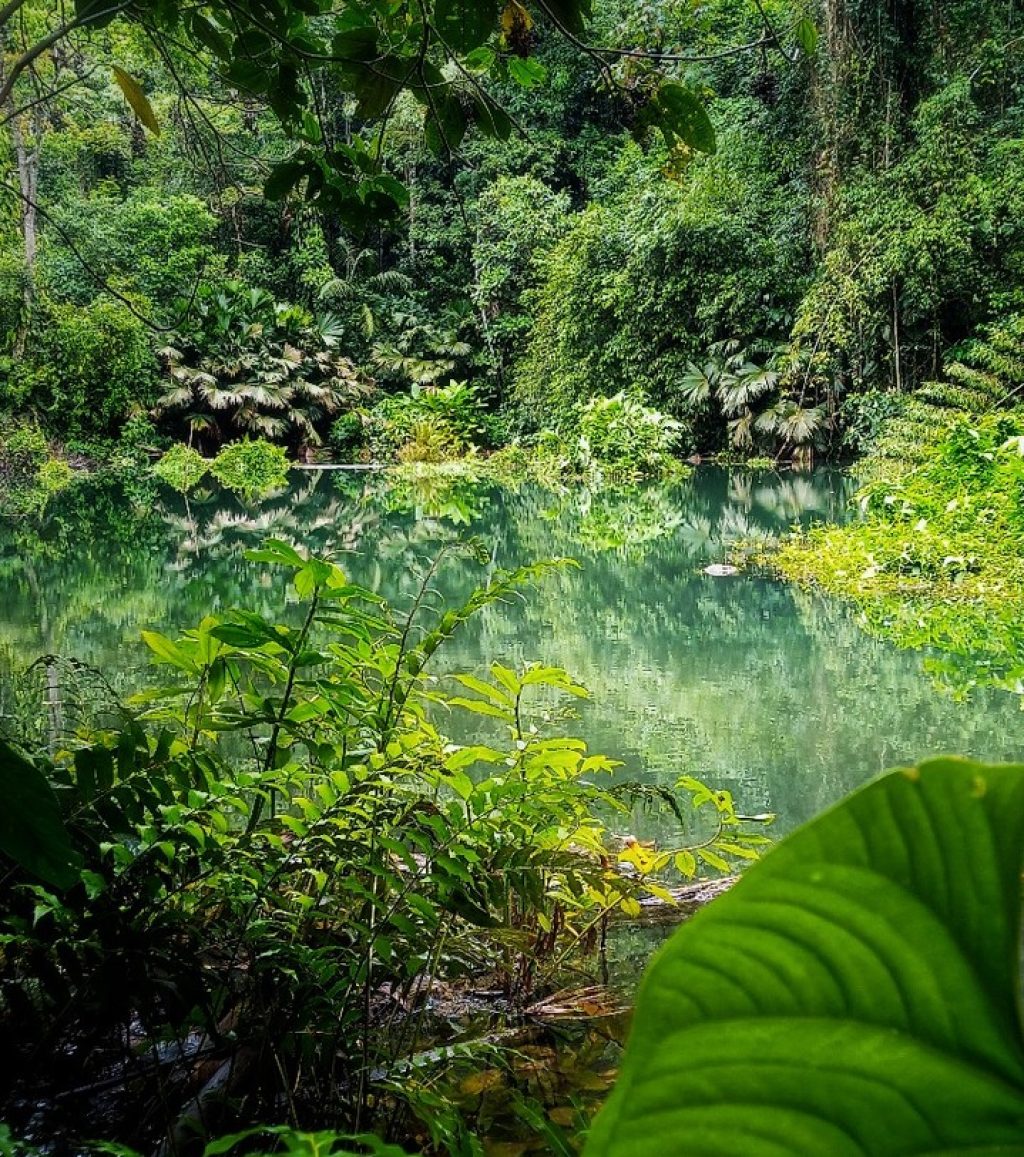 Instagram post from wild_globe_expeditions. This post is in position 15.