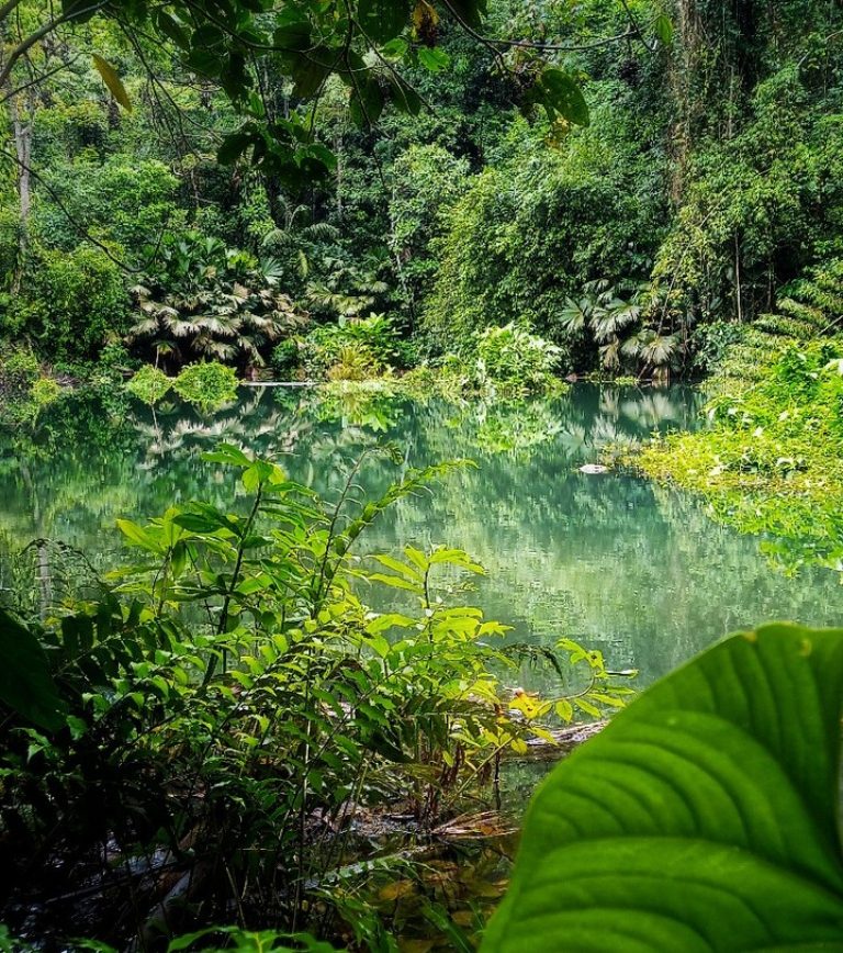 Instagram post from wild_globe_expeditions. This post is in position 16.