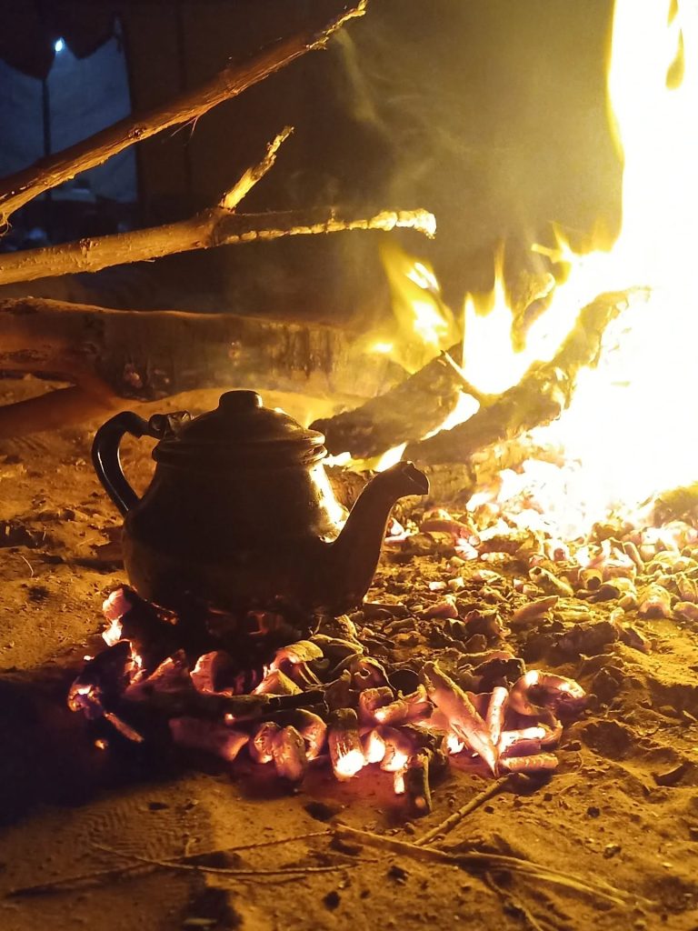 Instagram post from wild_globe_expeditions. This post is in position 2.