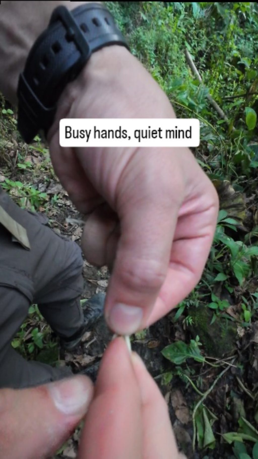 Instagram post from wild_globe_expeditions. This post is in position 7.