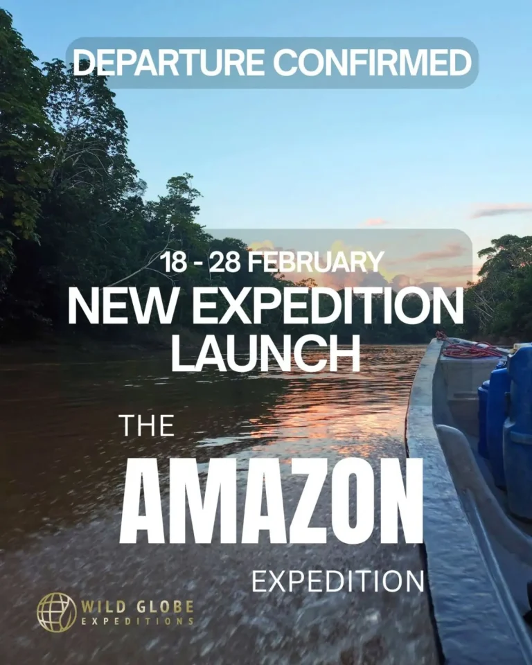 Instagram post from wild_globe_expeditions. This post is in position 1.