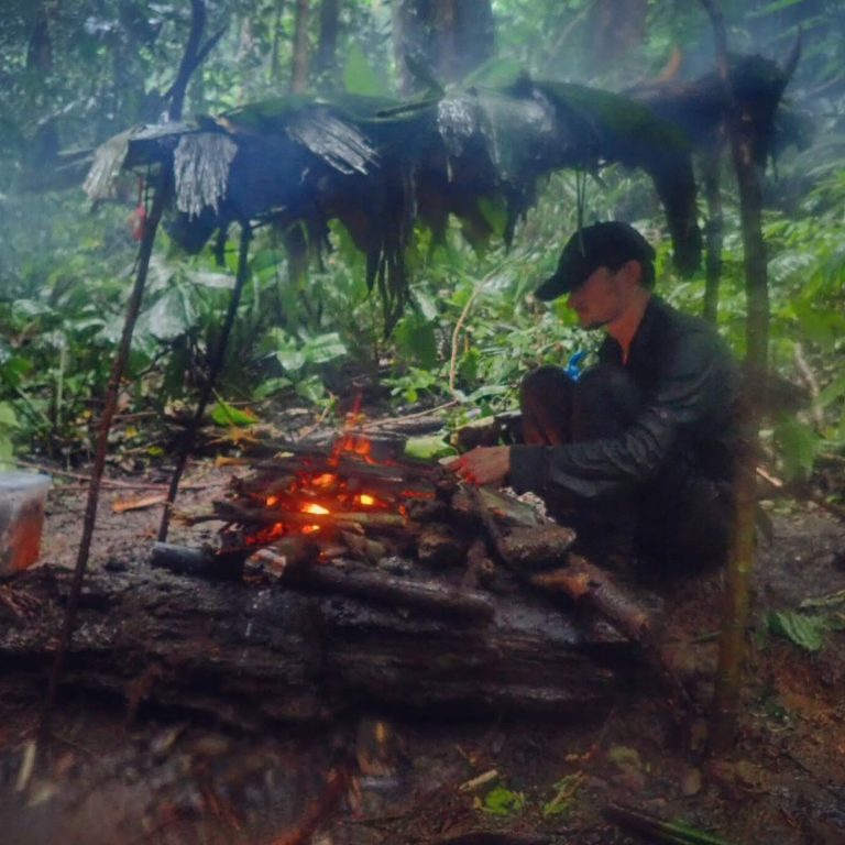 Instagram post from wild_globe_expeditions. This post is in position 12.