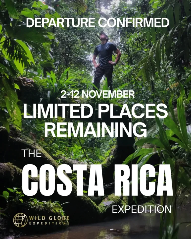 Instagram post from wild_globe_expeditions. This post is in position 3.