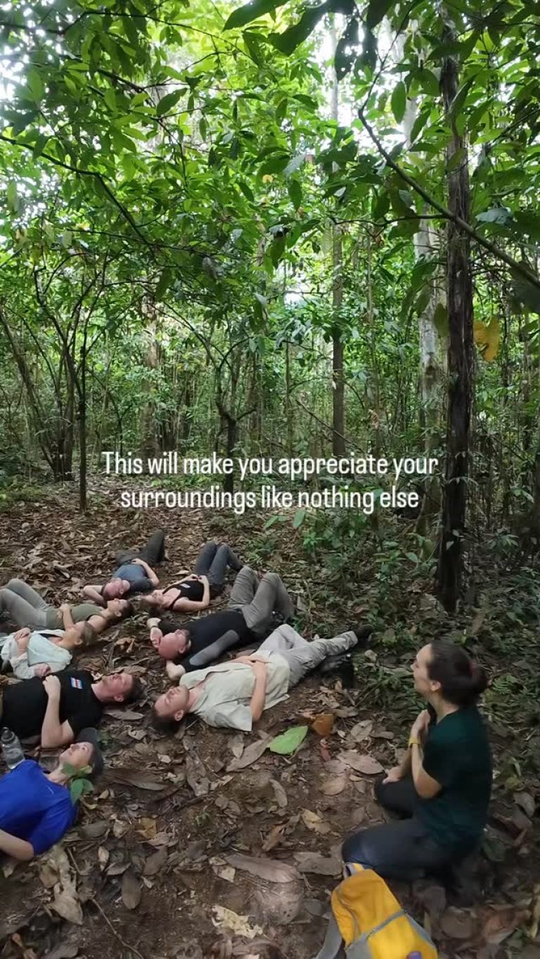 Instagram post from wild_globe_expeditions. This post is in position 6.