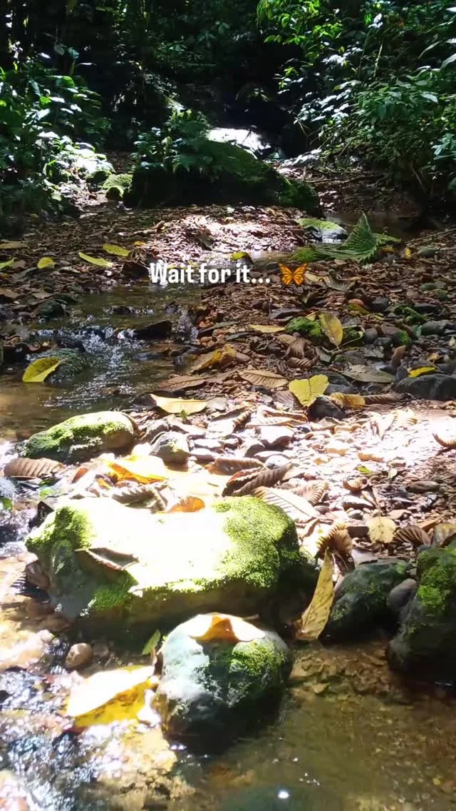 Instagram post from wild_globe_expeditions. This post is in position 13.
