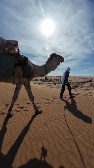 Instagram post from wild_globe_expeditions. This post is in position 2.