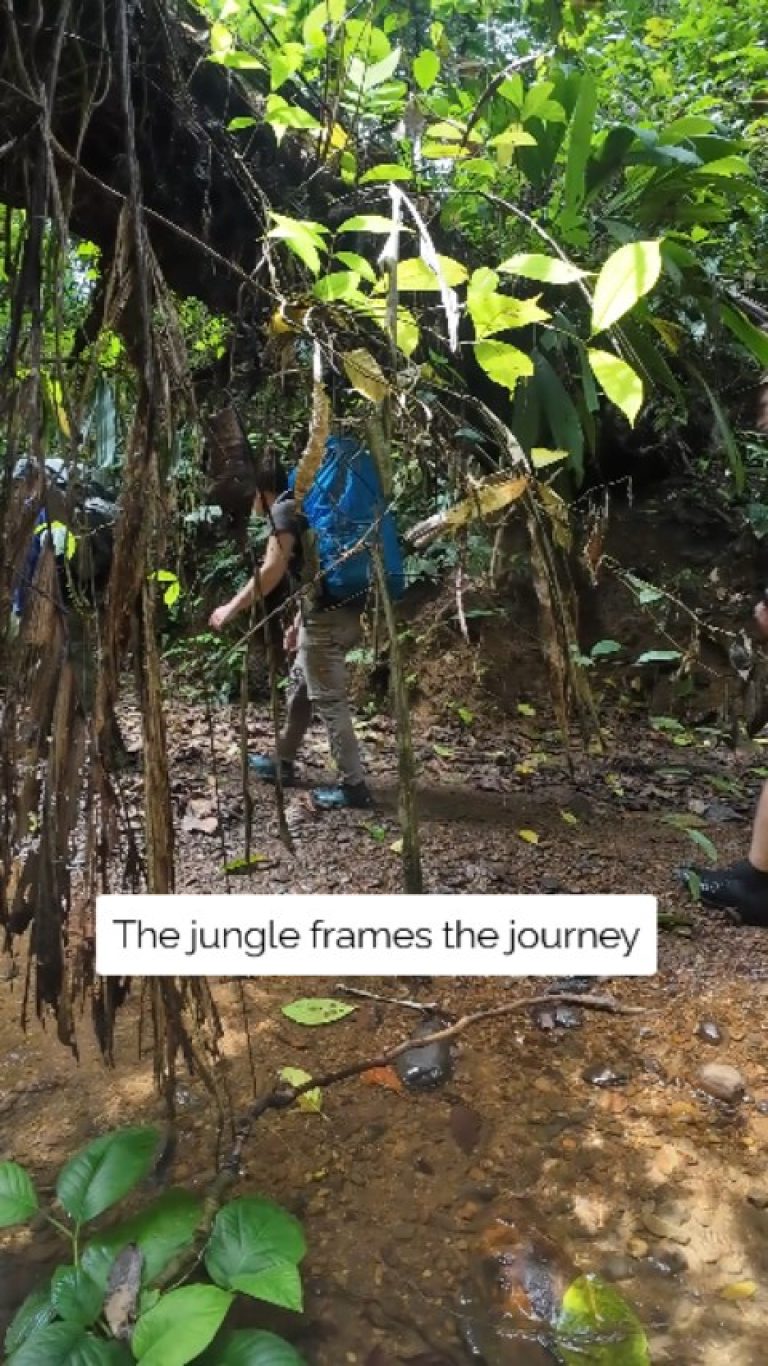 Instagram post from wild_globe_expeditions. This post is in position 18.