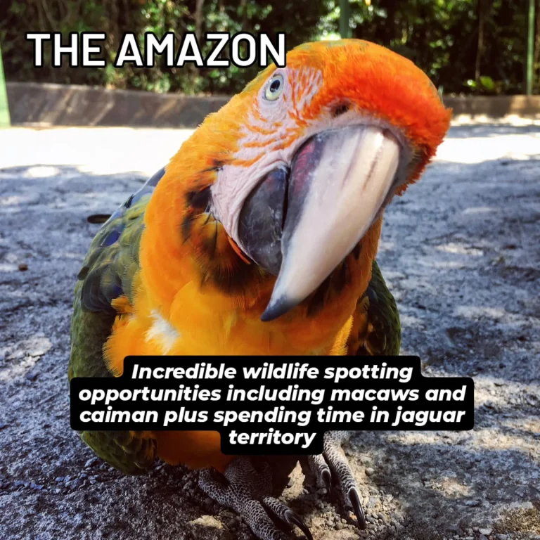 Instagram post from wild_globe_expeditions. This post is in position 4.