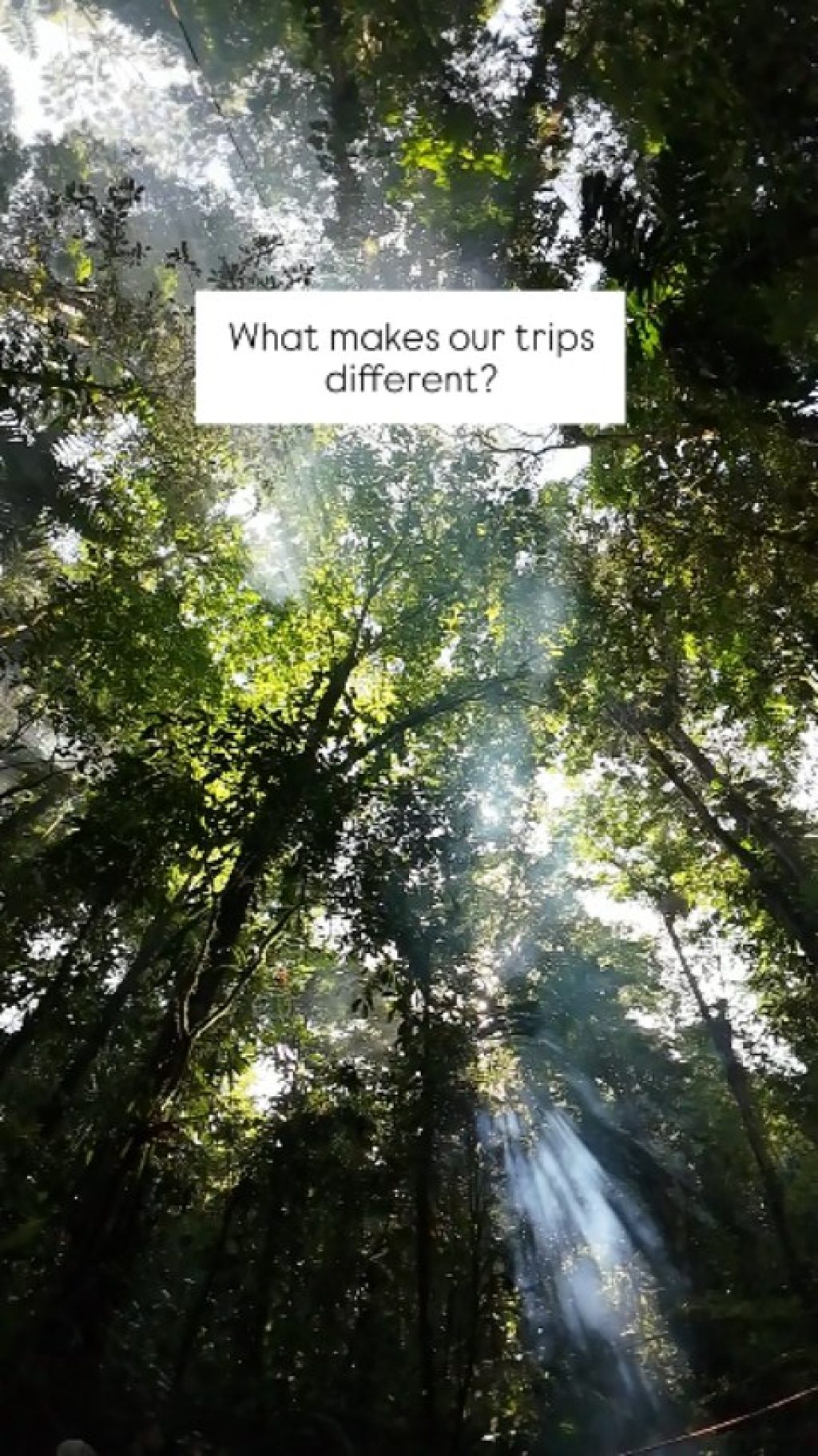 Instagram post from wild_globe_expeditions. This post is in position 11.