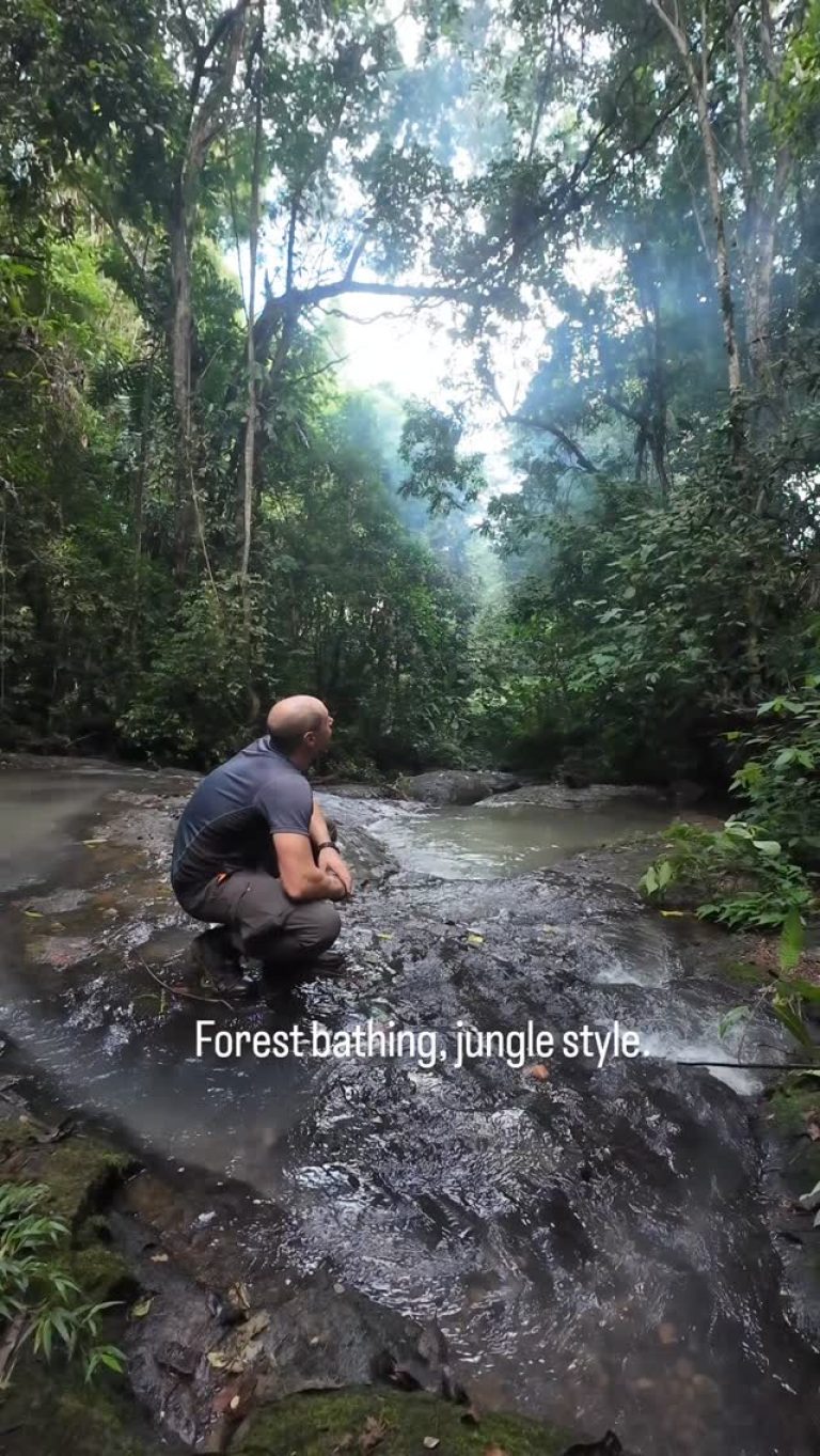 Instagram post from wild_globe_expeditions. This post is in position 14.