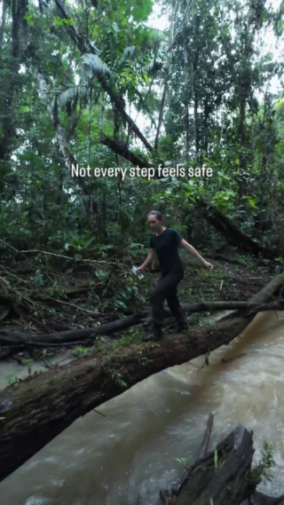 Instagram post from wild_globe_expeditions. This post is in position 1.