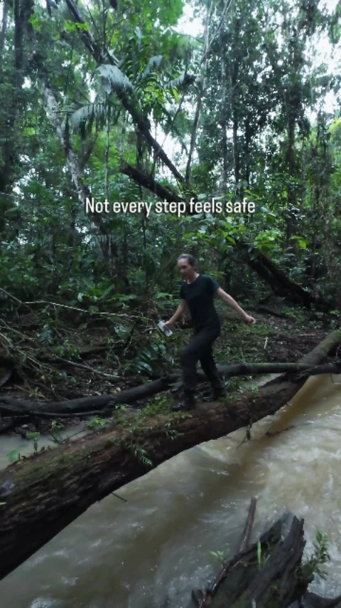 Instagram post from wild_globe_expeditions. This post is in position 0.