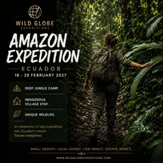 Instagram post from wild_globe_expeditions. This post is in position 1.