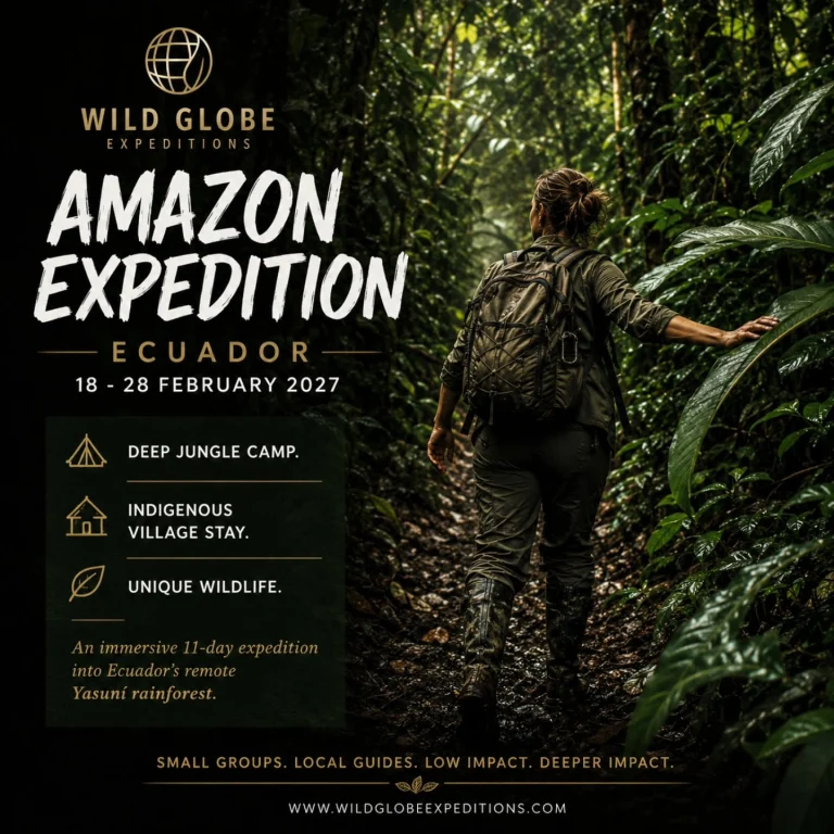Instagram post from wild_globe_expeditions. This post is in position 0.