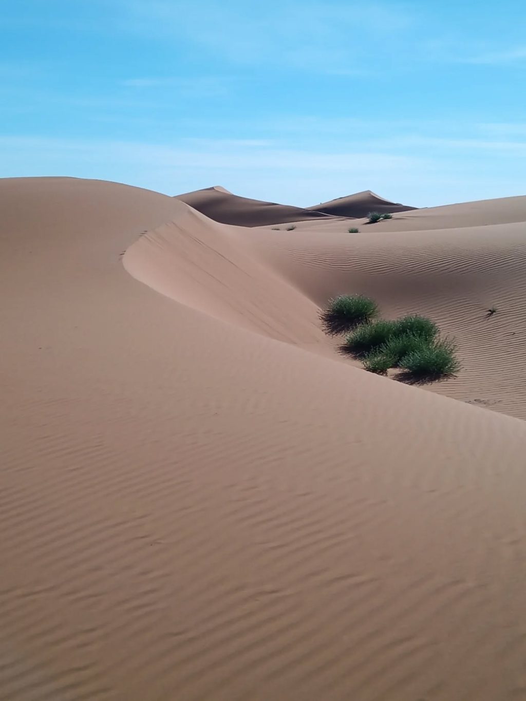 Instagram post from wild_globe_expeditions. This post is in position 1.