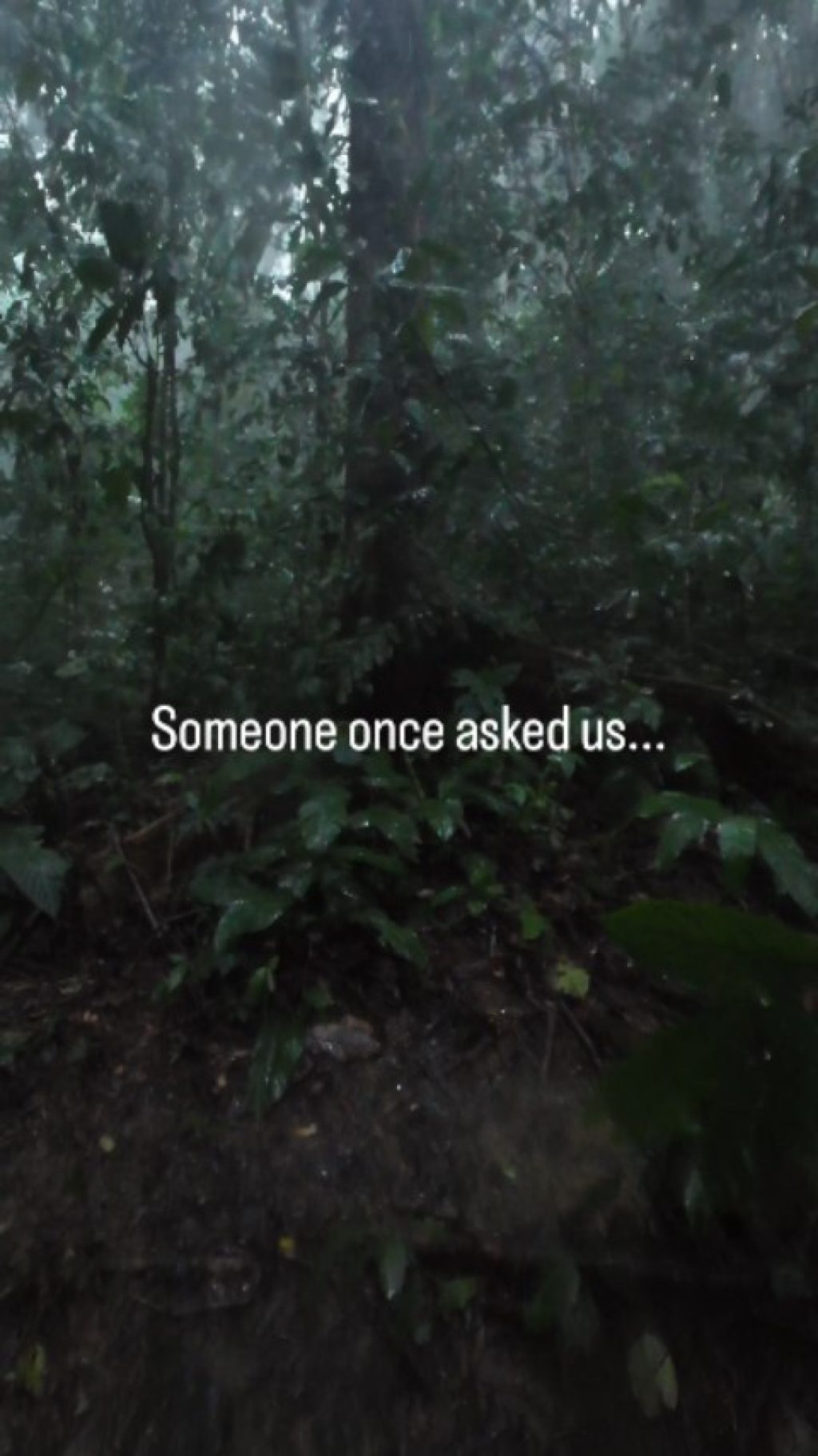 Instagram post from wild_globe_expeditions. This post is in position 0.