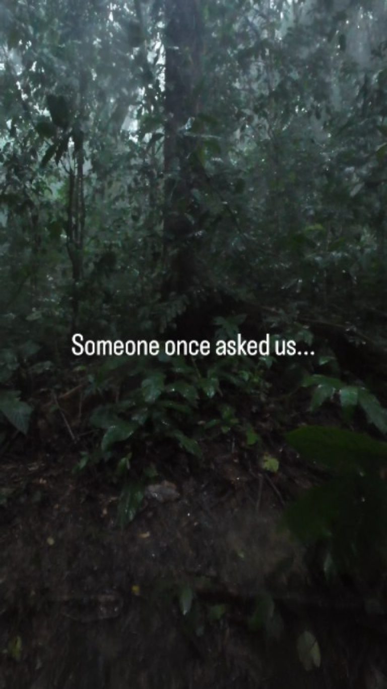 Instagram post from wild_globe_expeditions. This post is in position 1.