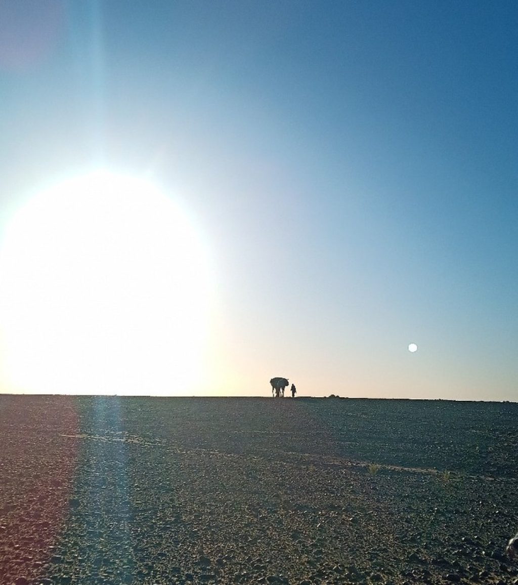 Instagram post from wild_globe_expeditions. This post is in position 19.