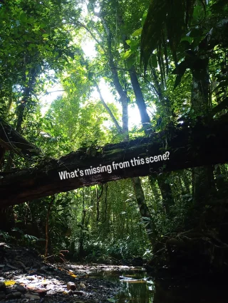 Instagram post from wild_globe_expeditions. This post is in position 1.