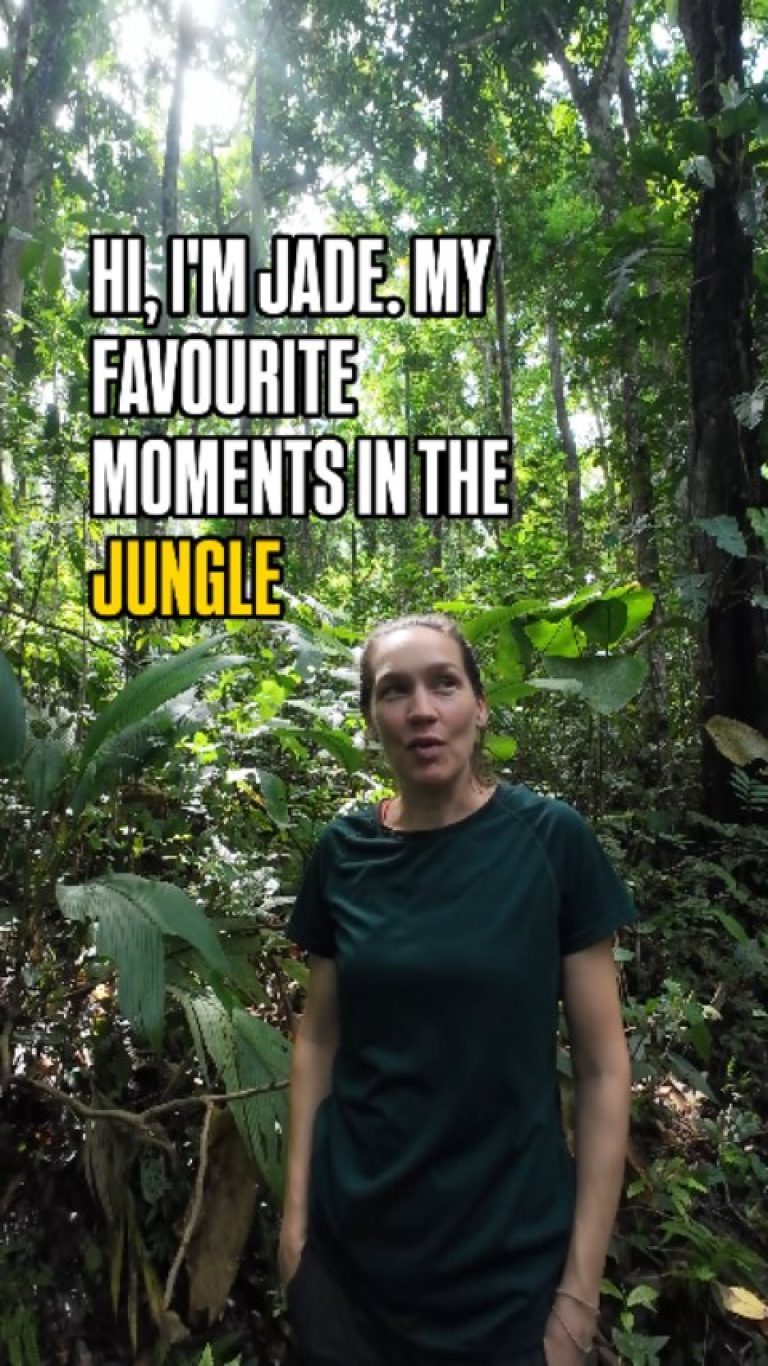 Instagram post from wild_globe_expeditions. This post is in position 1.