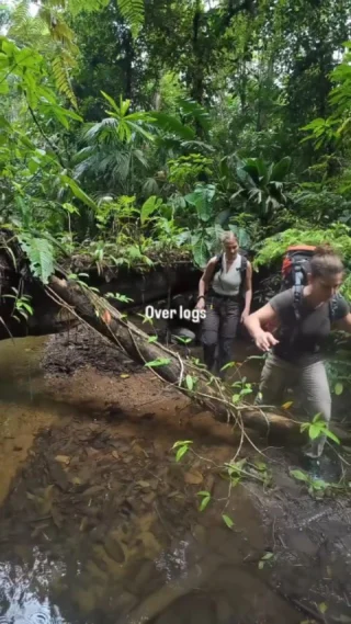 Instagram post from wild_globe_expeditions. This post is in position 9.