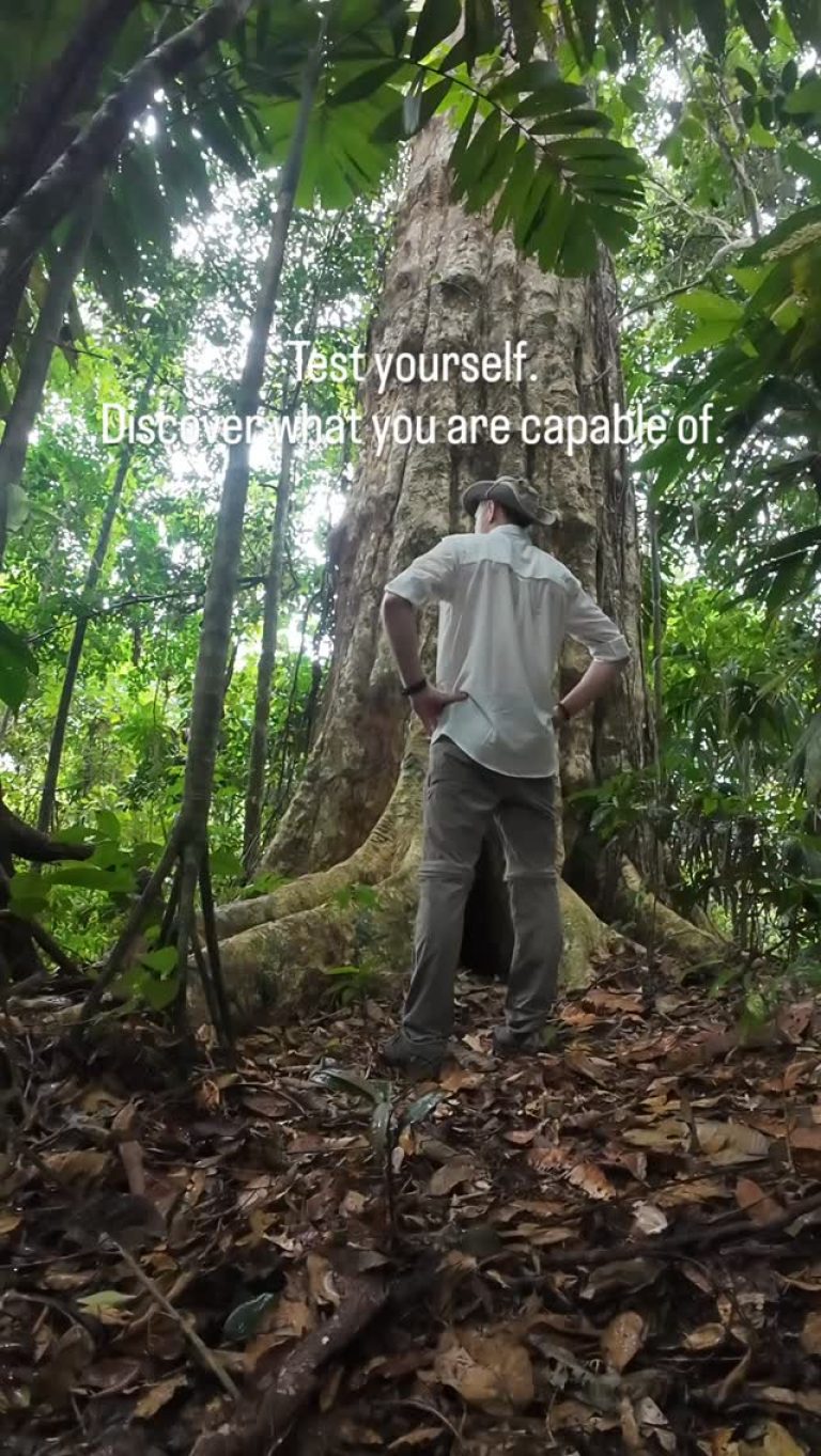 Instagram post from wild_globe_expeditions. This post is in position 15.