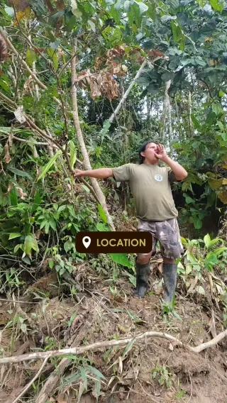 Instagram post from wild_globe_expeditions. This post is in position 1.