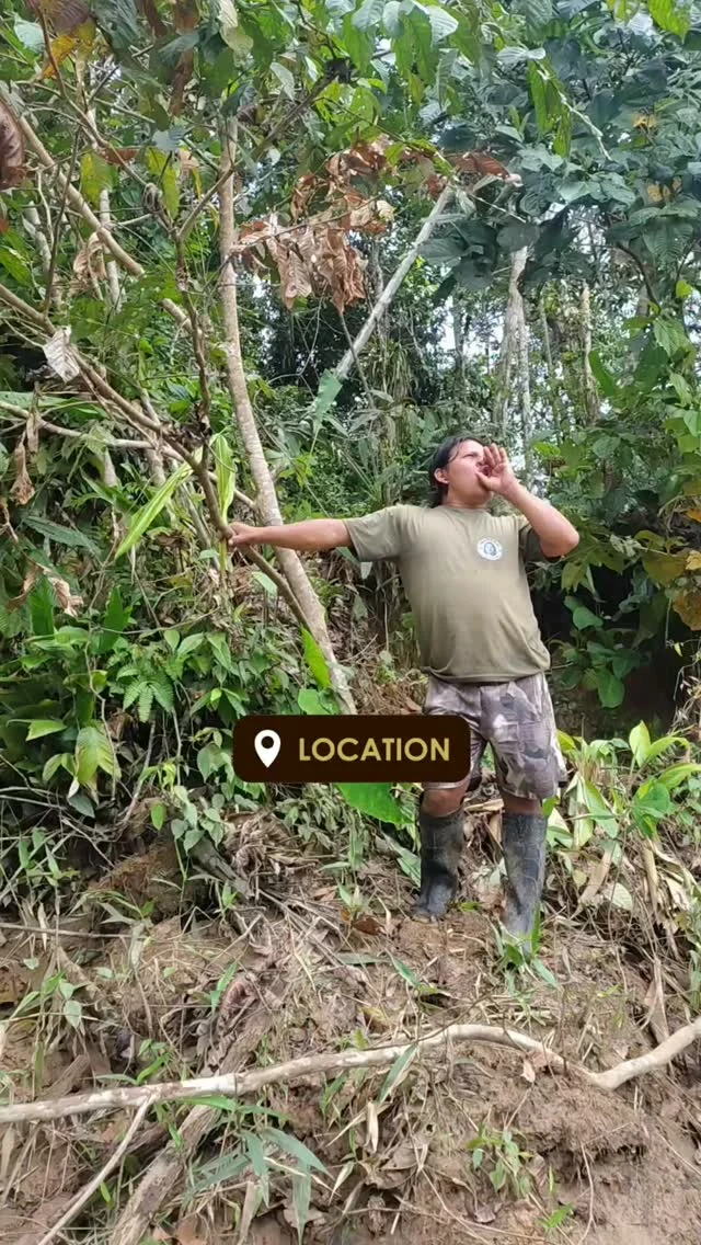 Instagram post from wild_globe_expeditions. This post is in position 0.