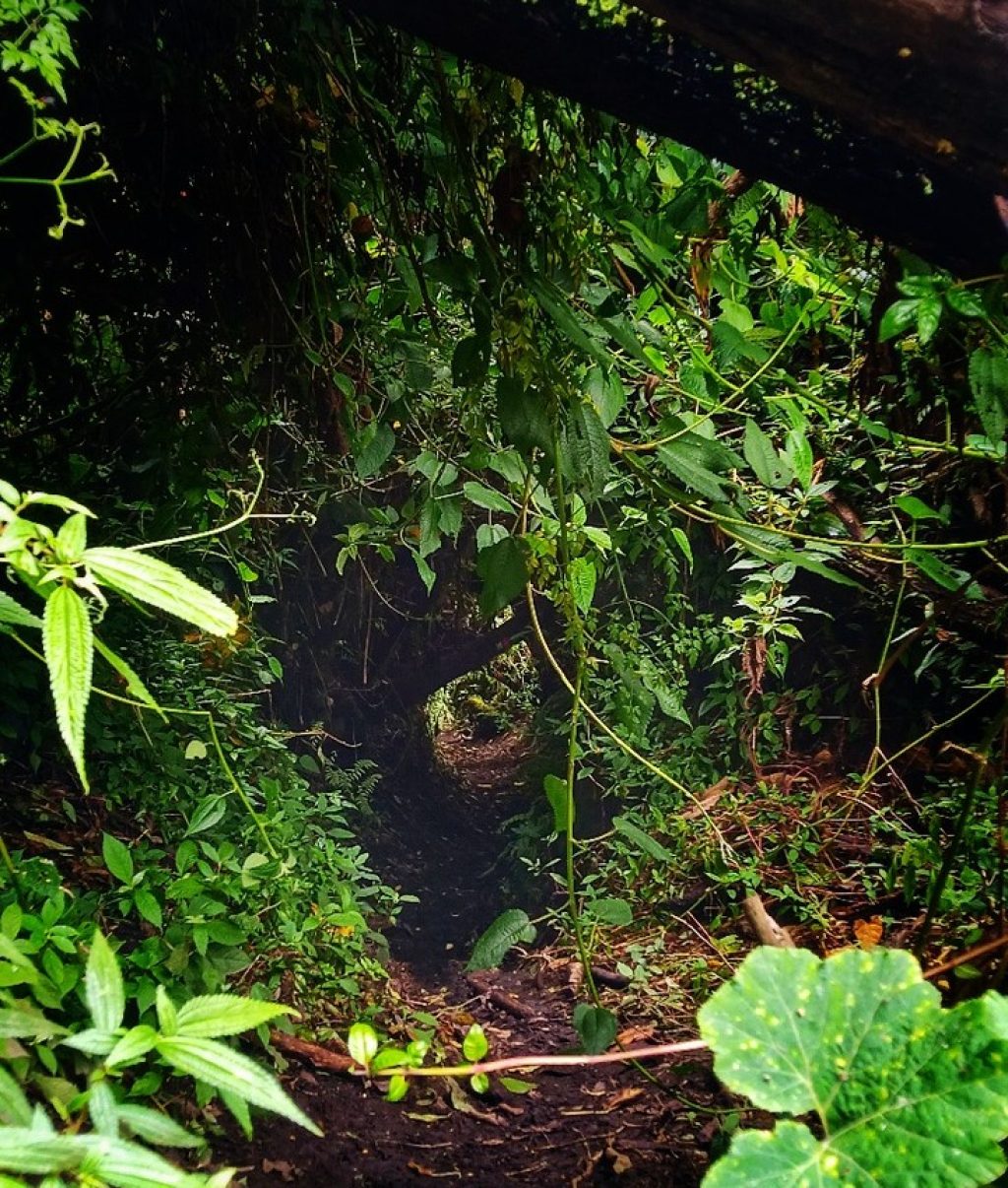 Instagram post from wild_globe_expeditions. This post is in position 16.