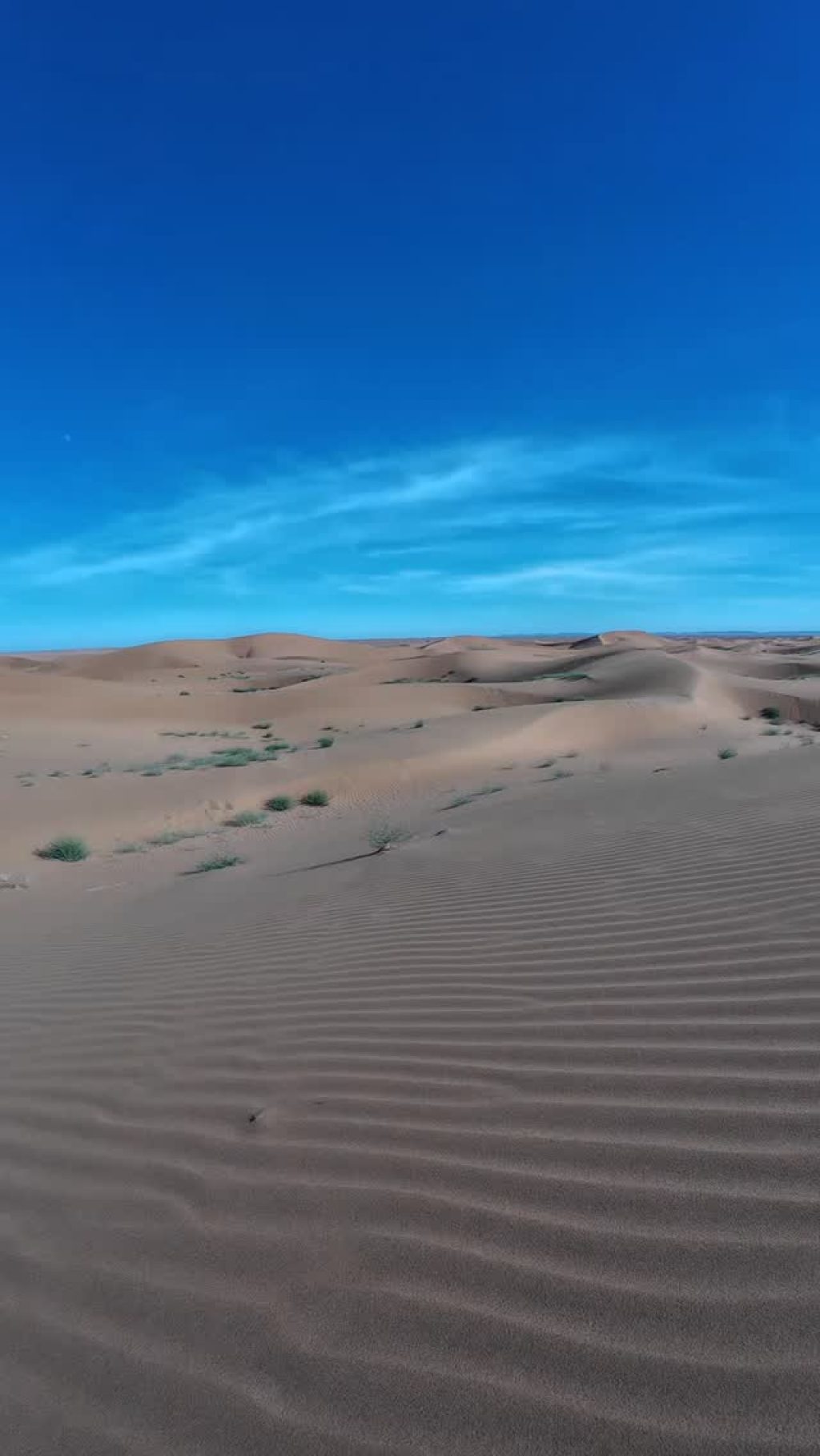 Instagram post from wild_globe_expeditions. This post is in position 3.