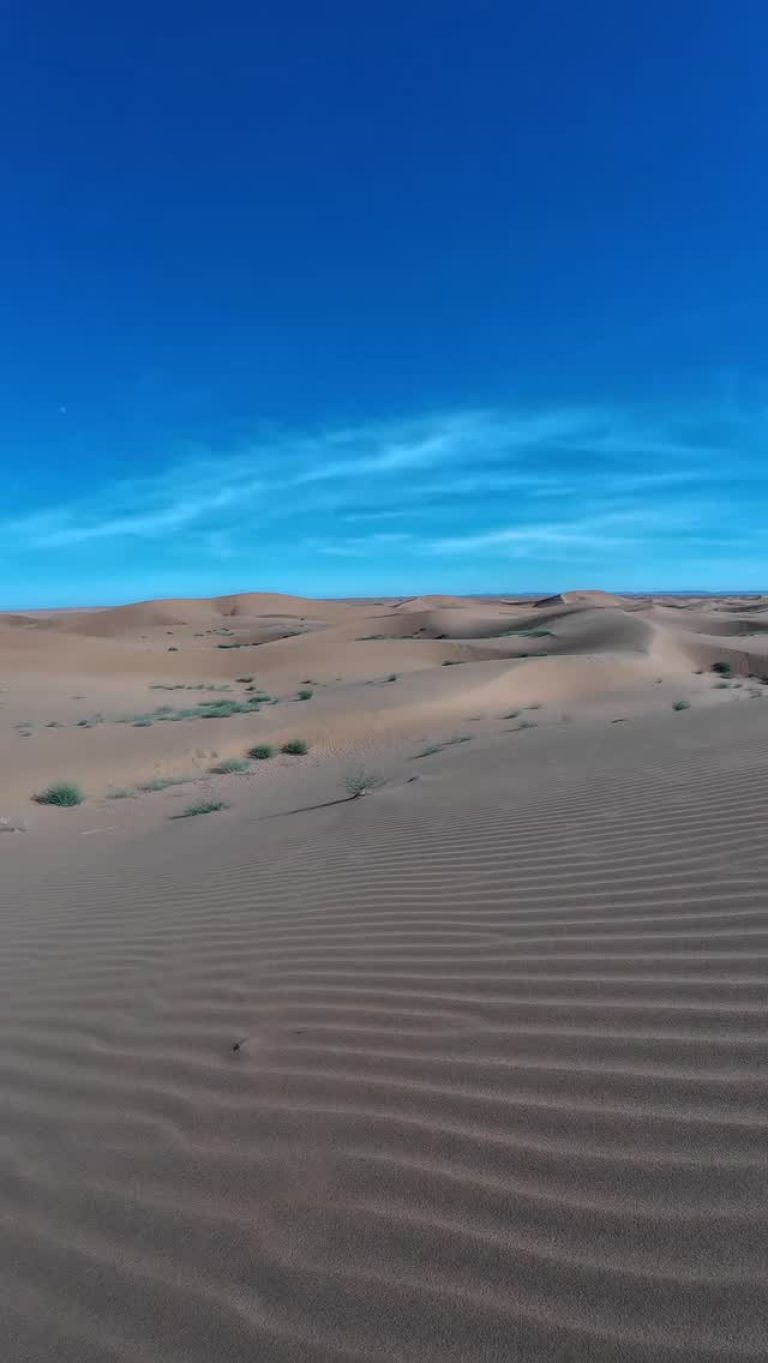 Instagram post from wild_globe_expeditions. This post is in position 4.