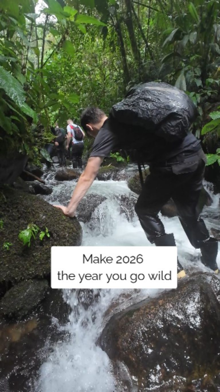 Instagram post from wild_globe_expeditions. This post is in position 12.