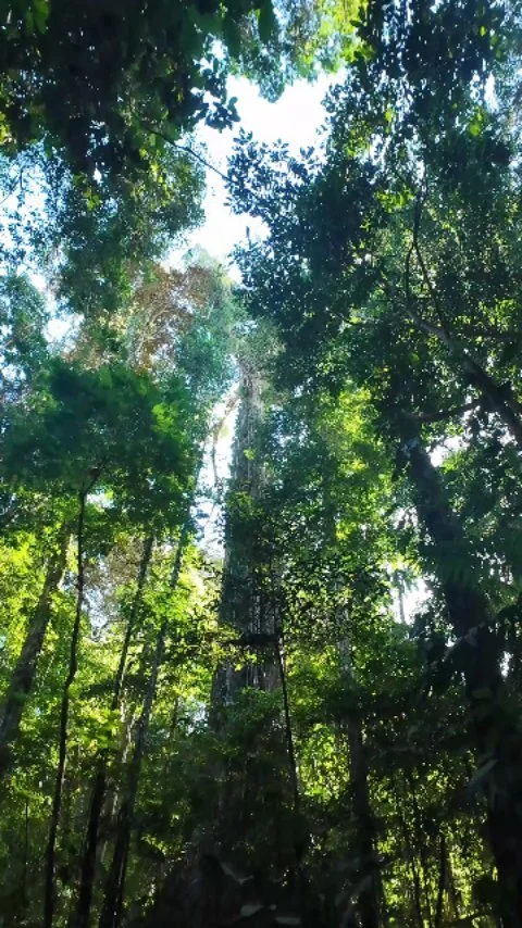 Instagram post from wild_globe_expeditions. This post is in position 0.