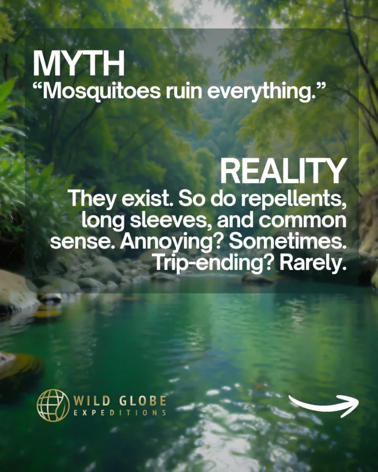 Instagram post from wild_globe_expeditions. This post is in position 6.