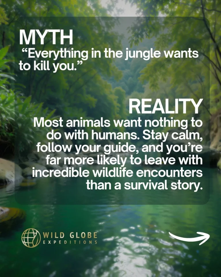 Instagram post from wild_globe_expeditions. This post is in position 1.