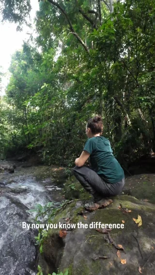 Instagram post from wild_globe_expeditions. This post is in position 17.