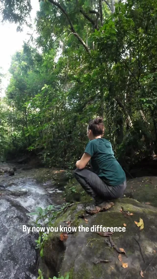 Instagram post from wild_globe_expeditions. This post is in position 16.