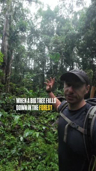 Instagram post from wild_globe_expeditions. This post is in position 1.